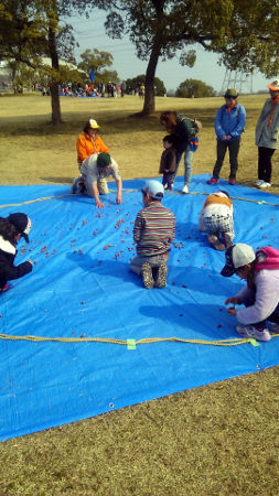 ビーバーラリー [1/5] dsc_0330