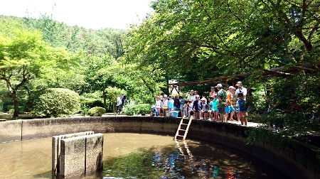 さかなつかみ [2/7] dsc_0355