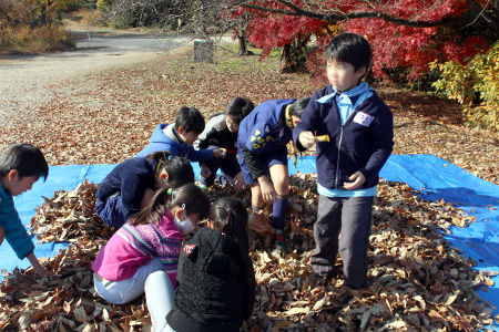 オープンスカウト [2/5] img_8154