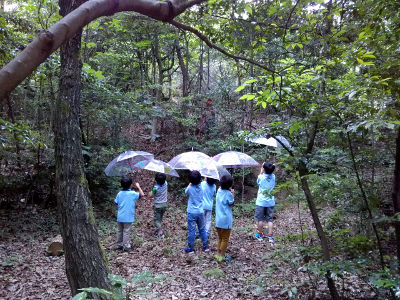 かさつくり [4/5] 20170611_image4