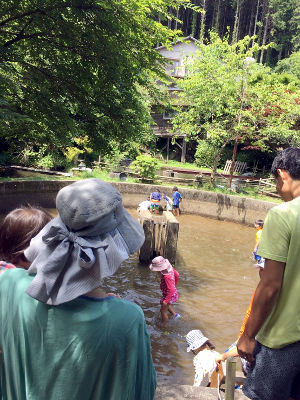 さかなつかみ [1/5] 20170702_image1