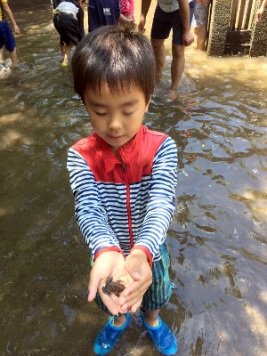 さかなつかみ [3/5] 20170702_image2