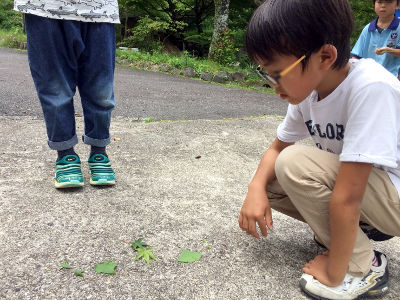 さかなつかみ [4/5] 20170702_image3