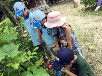 さかなつかみ [5/5] 20170702_image4