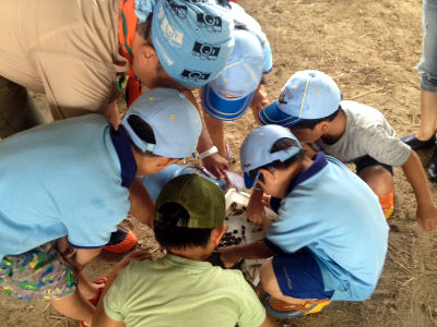 すいしつちょうさ [2/6] 20170803_image2