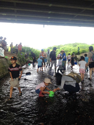 すいしつちょうさ [5/6] 20170803_image5