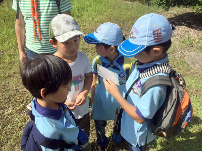 あきをさがそう [5/8] 20170924_image3