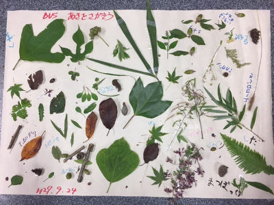 あきをさがそう [8/8] 20170924_image6