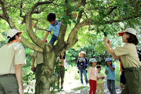 オープンスカウト [2/5] img_0293