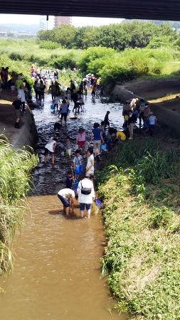 すいしつちょうさ [1/2] dsc_1750