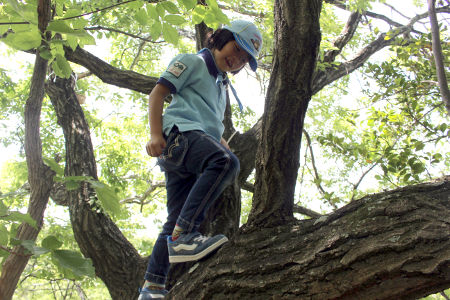 オープンスカウト [2/3] img_2425