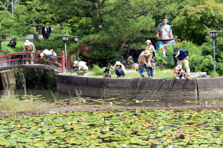 ザリガニつり [1/2] img_3123