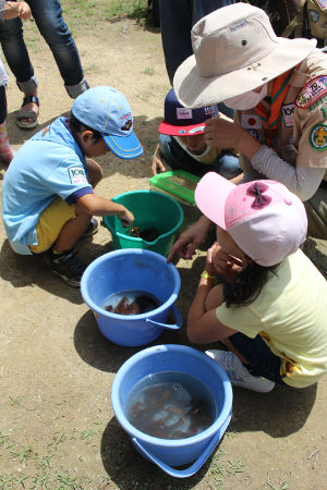 ザリガニつり [2/2] img_3126