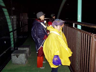 耐寒ハイク ～五色園 平成展望台 [2/5] p2140426