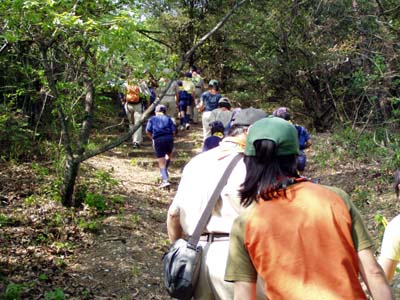 隊集会 ～野鳥観察 [4/5] p4181466