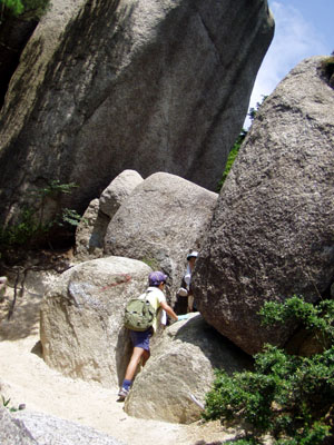 くま登山 [1/4] p7300043