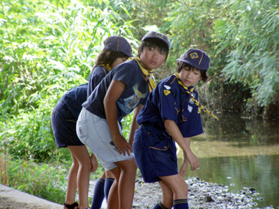 水質調査 [2/4] p8170012