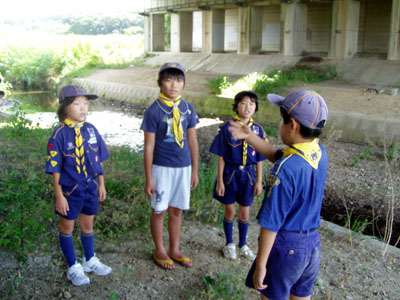 水質調査 [3/4] p8170014