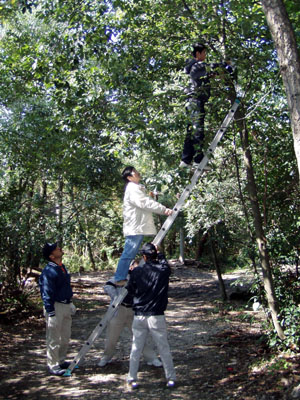 隊集会 ～ 巣箱取り付け、公開 [3/4] pa300088