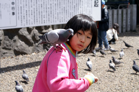 スケート [4/4] pict0148