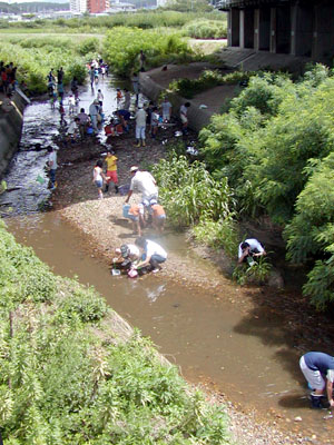 水質調査 [3/4] p8022738