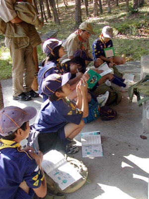 組集会(カブラリー) [1/4] pb040068