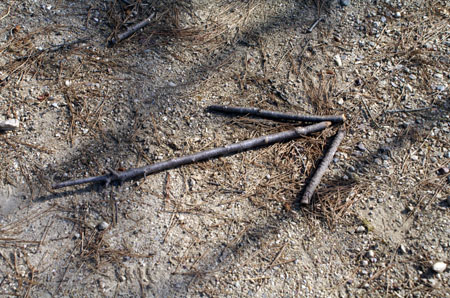 組集会(追跡サイン) [2/6] pict8087