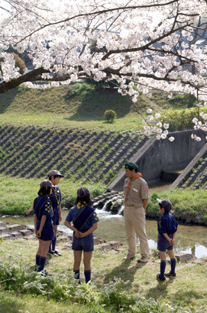 組集会(岩崎城春まつり・緑の募金活動) [1/6] pict8248