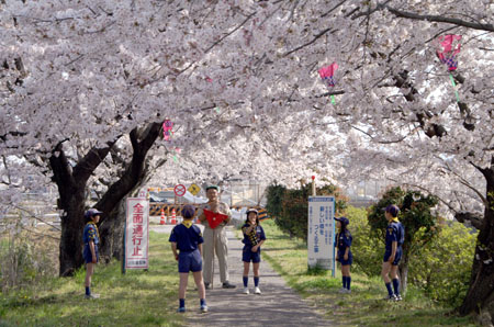 組集会(岩崎城春まつり・緑の募金活動) [2/6] pict8249