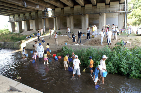 組集会(水生生物調査) [1/4] pict9417