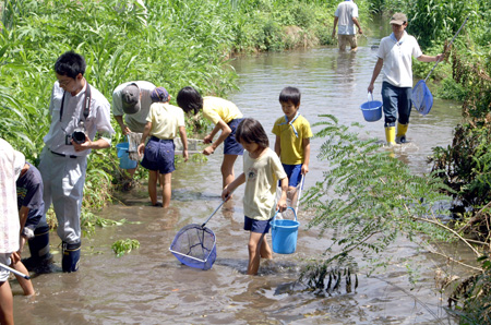 組集会(水生生物調査) [2/4] pict9419