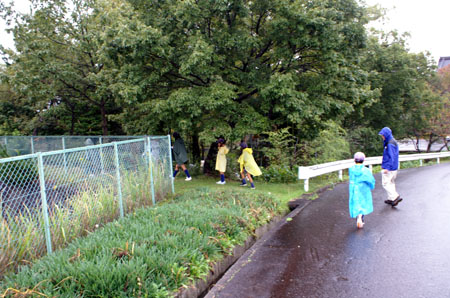 隊集会(追跡ハイク) [5/5] pict0064