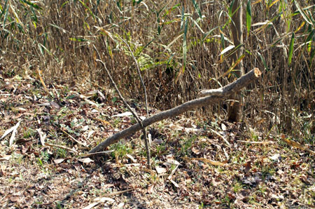 組集会(追跡サイン) [3/4] pict1219