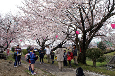 組集会(緑の羽根募金・ショートハイク) [1/5] pict1374
