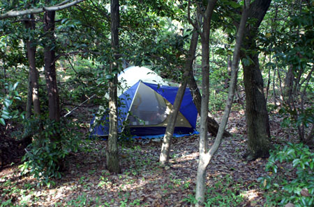 上進章集会(一泊野営) [1/4] pict1787