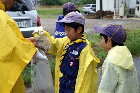 団行事(ゴミ0清掃奉仕) [2/4] pict1831