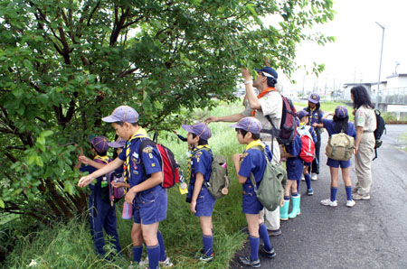 団行事(ゴミ0清掃奉仕) [4/4] pict1848