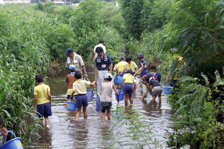 組集会(水生生物調査) [1/4] pict2597