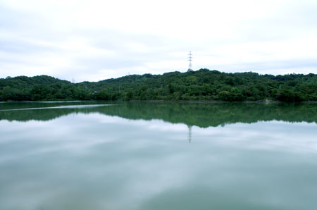 隊集会(自然観察ハイク) [3/4] pict9866