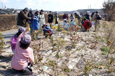 隊集会(みどりいっぱいプロジェクト) [1/4] pict4740