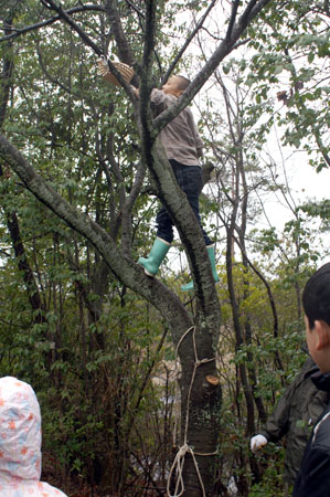 団行事(オープンスカウト) [2/5] pict4880