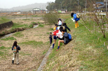 組集会(野草観察ハイク) [2/2] pict5193