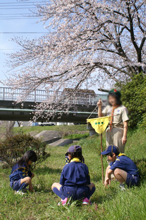 組集会(岩崎城春まつり・緑の羽根募金) [1/4] pict5243