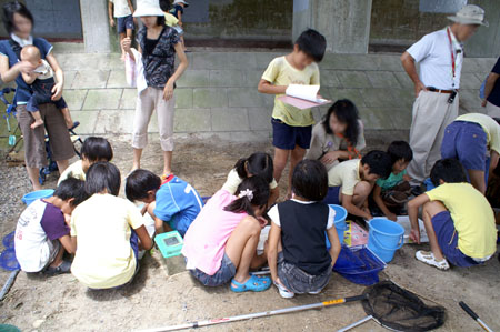 組集会(水生生物調査) [3/3] pict6753