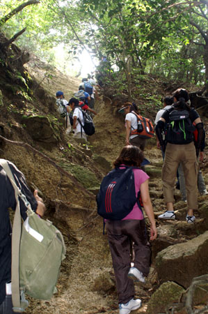 上進章集会(くま登山) [1/5] pict9341
