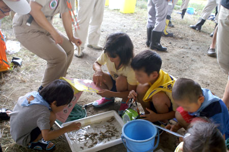 隊集会(水生生物調査) [3/3] pict9465