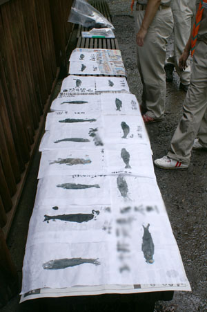 隊集会(夏季舎営) [1/6] pict9536