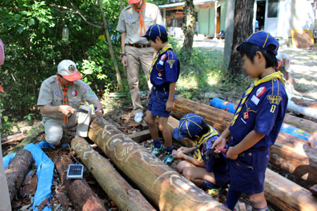 トーテムポール作り3 [1/2] img_2286