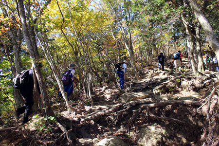 くま登山 [2/5] img_6059