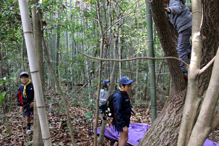 クリスマス会に向けて1 [1/3] img_6278